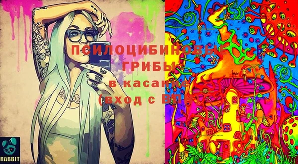 спайс Горнозаводск