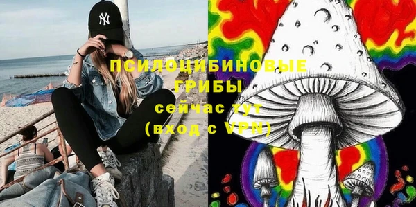 МДПВ Горно-Алтайск