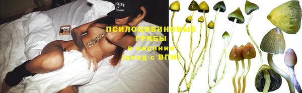 спайс Горнозаводск