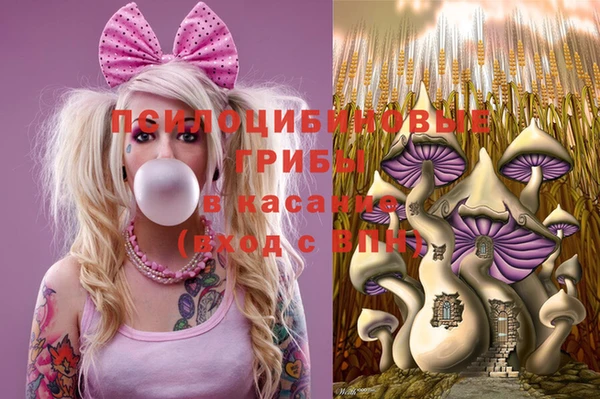 прущий лед Горняк
