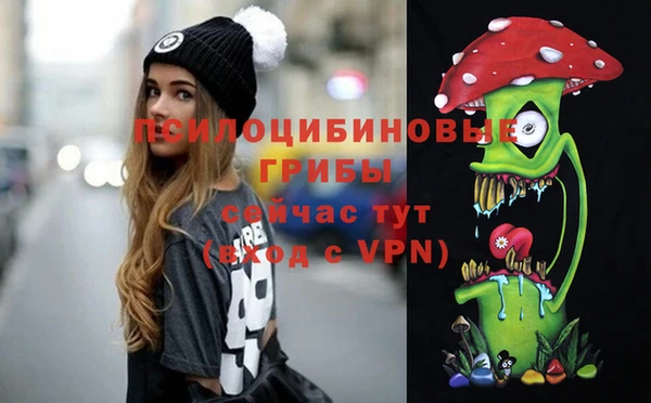 прущий лед Горняк