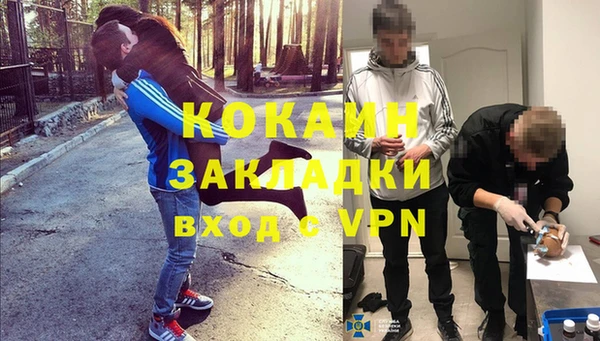 мяу мяу мука Гусев