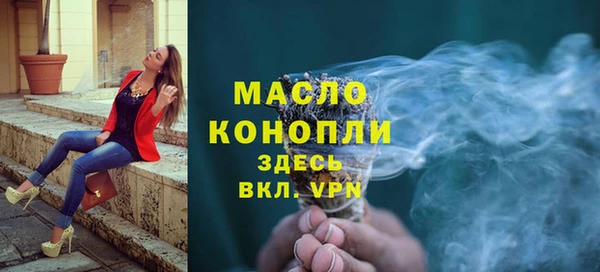хмурый Гусь-Хрустальный